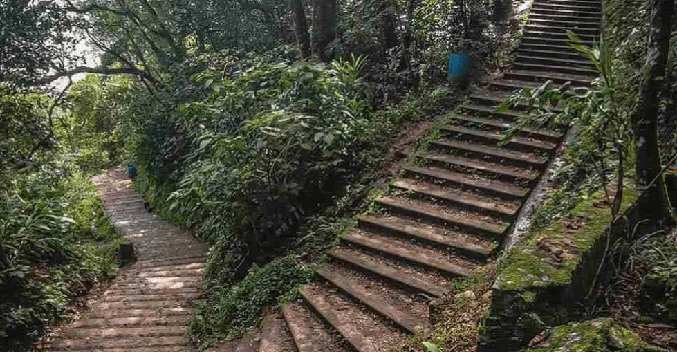 Aventuras en cenotes y grutas de Veracruz