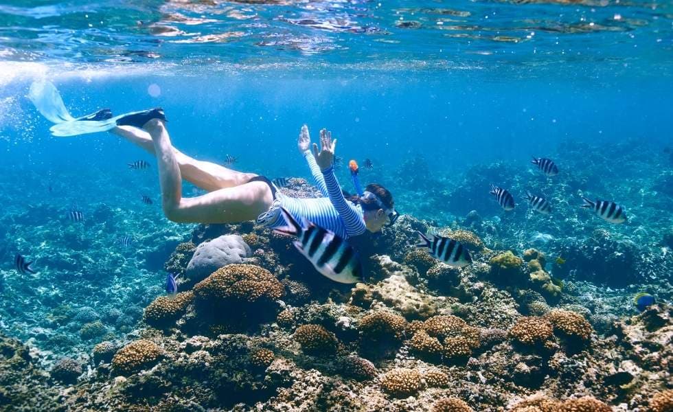 Snorkel en Veracruz